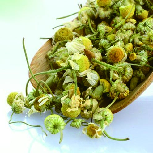 洋甘菊精油